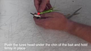 Flash Witch Ballyhoo With O-ring