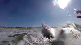 Session surf Glassy | Côte sauvage (La Tremblade)