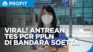 Viral Antrean Tes PCR PPLN Di Bandara Soetta