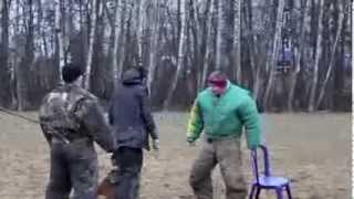 Коля   короткое конвоирование  двойка (Mal.Colt-convoy, 2 helpers)