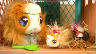 Little Live Pets Cochon d'Inde Mama Surprise Guinea Pig