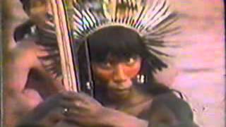 2 The Nature of Culture