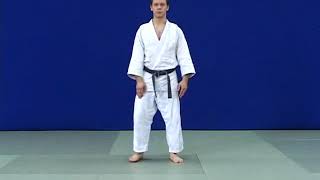 Ukemi (judo, 6 kyu).