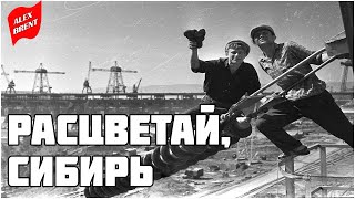 Расцветай, Сибирь (1956)
