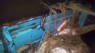PESCA DE SURUBIM