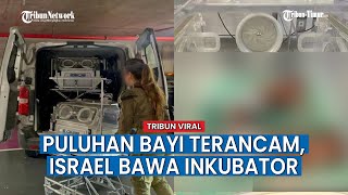 Puluhan Bayi Terancam, Israel akan Bawa Inkubator setelah Kepung Rumah Sakit di Gaza