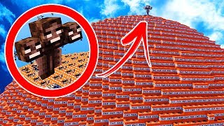 WITHER VS 100.000 TNT - ESPERIMENTI PAZZI SU MINECRAFT #2