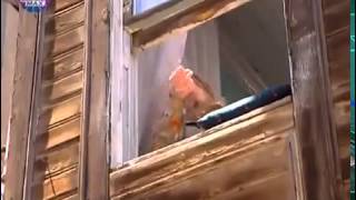 Cennet Mahallesi 1.Bölüm Full Tek Parça