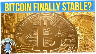 Is Bitcoin Now a More Stable Investment than Meta and Amazon?