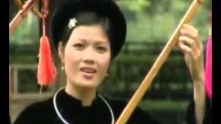 Hoa nở bốn mùa
