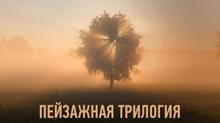 Онлайн мастер-класс "Пейзажная трилогия". Александр Киценко