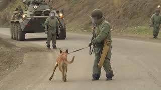 Разминирование местности в зонах ответственности миротворческих сил РФ в Нагорном Карабахе