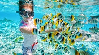 Hurghada, Albatros Aqua Park, Egypt 2017