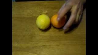 Growing orange & lemon trees from seed