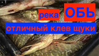 Рыбалка на Оби.  Осень. и НОУ ХАУ!!! Воблер-джиг.