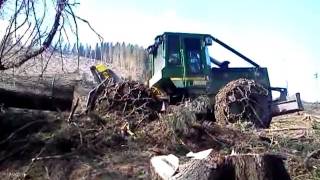 RAFFAJ forest SK