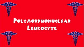 Pronounce Medical Words ― Polymorphonuclear Leukocyte
