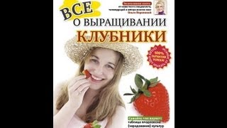 ВСЕ О ВЫРАЩИВАНИИ КЛУБНИКИ. Общие принципы и пошаговое руководство.