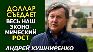 Украина возвращается к "пятилеткам"? Революция в бюджете Украины. Андрей Кушниренко