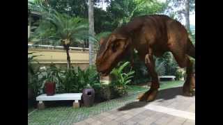 Efexio T rex test