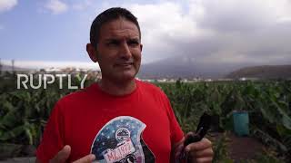 Spain: Farmers despair as La Palma volcano damages banana crop