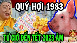 Vận Mệnh Quý Hợi 1983 Gặp Thời Đổi Vận, Phất Như Vũ Bão Từ Giờ Đến Tết 2023