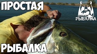 Простая рыбалка - Русская Рыбалка 4