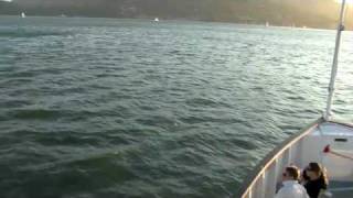 San Francisco Hornblower Dinner Cruise