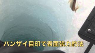 【ワカサギ秘伝】マイティ煤竹＜中硬＞よる表面張力釣法