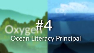Ocean Literacy Principle 4: The Ocean Makes Earth Habitable | Nautilus Live