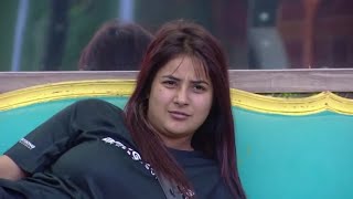 Bigg Boss 13, Unseen Undekha, Aarti Singh Shehnaaz Flipper