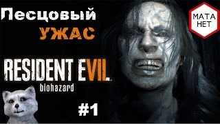 Песец, Ты попал - Это не стример, это песец - Штримим каждый день !