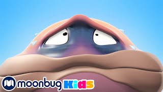 WONDERBALLS! | ミュージカルガス  | ニューキッズシリーズ | 人気の漫画 | 音楽について学ぶ | Moonbug Kids