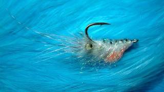 Tying the Lite-Brite Shrimp (Saltwater Fly) by Davie McPhail.