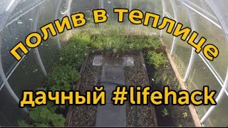Полив в теплице - дачный lifehack