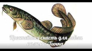 Простейшая снасть для ловли налима зимой. Тычка.