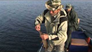 Ловля щуки троллингом 4 http://fish73.ml