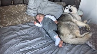 My Baby & Dog didn’t want to wake up!!