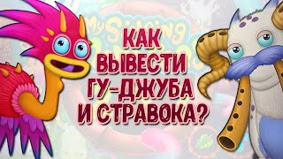 ГУ-ДЖУБ И СТРАВОК - КАК ВЫВЕСТИ?