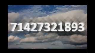 Код миллионера: 71427321893