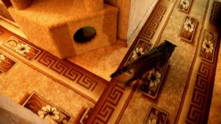 Дом для кота своими руками (Making a home for the cat) Часть 2