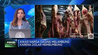 Dolar Menguat Bikin Harga Daging Naik, Importir Bisa Loss Profit