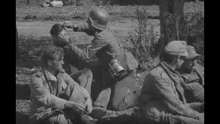 German soldiers captured by US troops in Italy during World War II