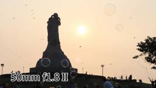 CANON EF 50mm f1.4 f1.8 I/II/STM&40mm f2.8 STM耀光測試 Flare Test