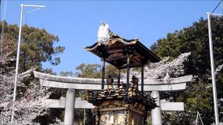 犬山祭_2012年春その2_Japanese traditional culture_Festival of Japan
