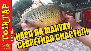 МАКУШАТНИК! ЛОВЛЯ КАРПА! Советы начинающим рыбакам!!!