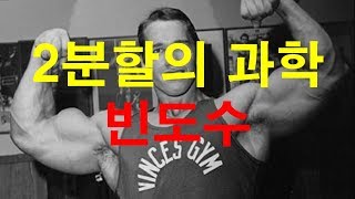 2분할의 과학(Part: 빈도수)