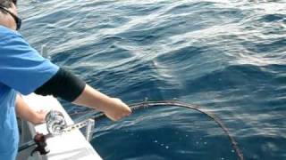 BigFish WorldRecord Gruoper120Kg 大物釣りで 巨大カンナギ浮上　Team立釣魂