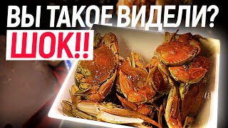 ? ШОК Вы такое видели? ШВЕДСКИЙ СТОЛ! Все Включено! Чем кормят в Турции в отеле 5 звезд