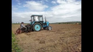 Burgonya ültetés Zsírossal, a nyughatatlan MTZ-82-essel